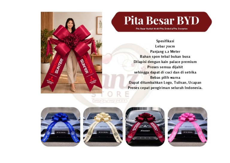 Pita Besar BYD
